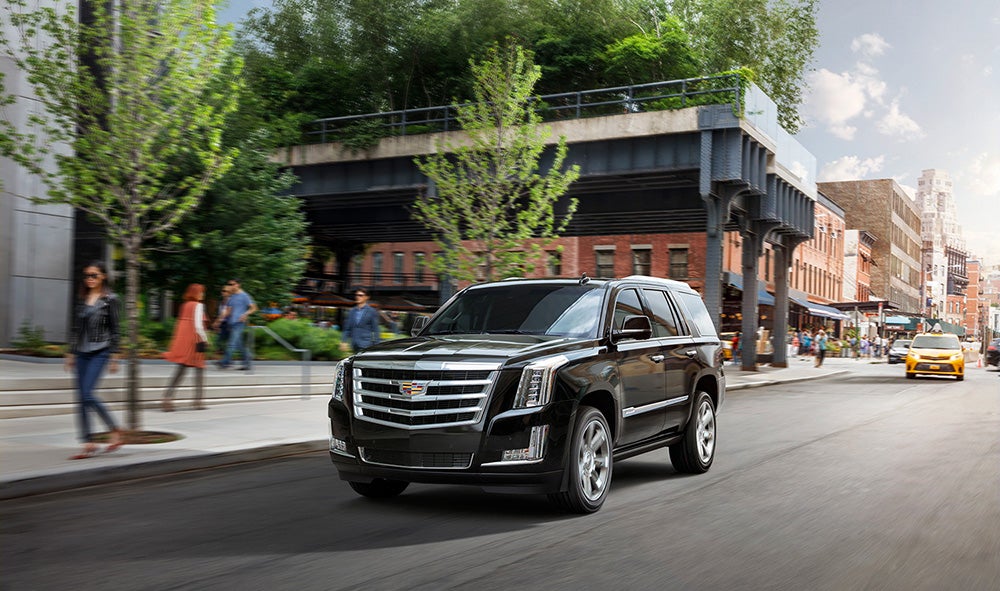dimmitt-automotive-2020-cadillac-escalade-driving-city