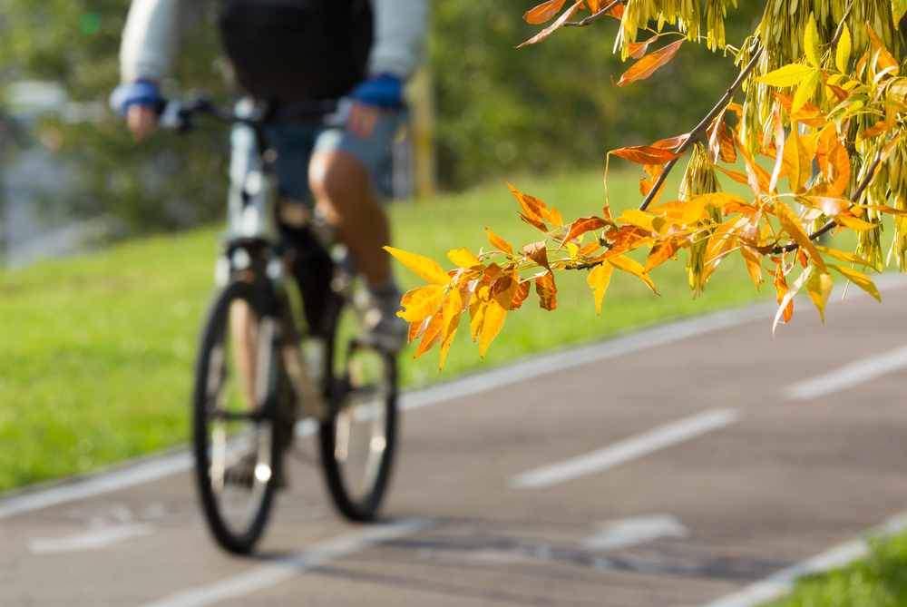 bicyclist on a bike trail
