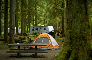 An orange tent and a camper in the middle of the woods. | St. Louis, MO