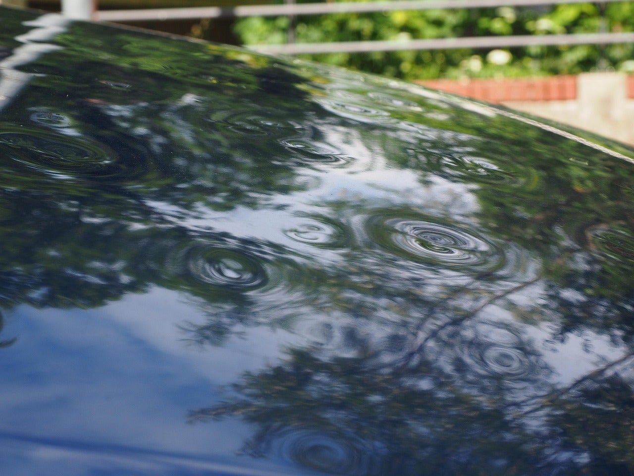 Free Hail Damage Automobile photo and picture