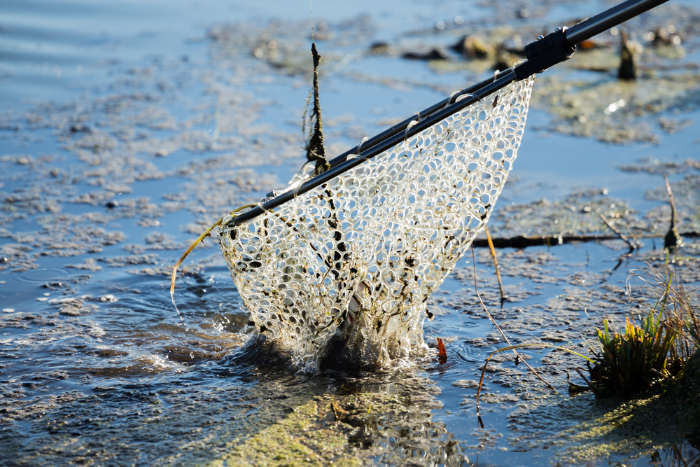blog3-4_Favorite_Local_Fishing_Spots_Around_Bentonville_637570248490579338
