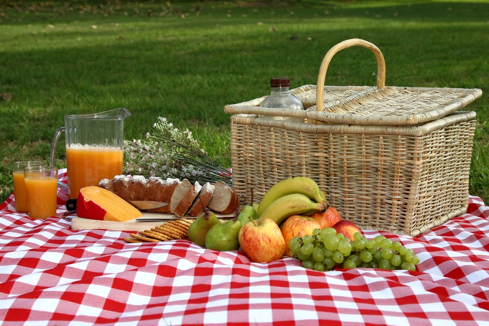 blog4-_Best_Places_for_Picnics_in_and_Around_Bentonville_637629012540690848