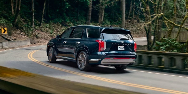 2023 palisade cms 02