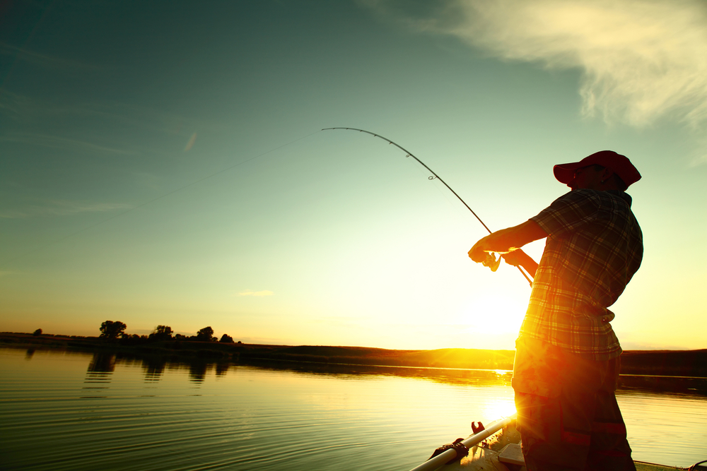 blog4-5_Popular_Camping_Destinations_Near_Fayetteville_637564024411475237