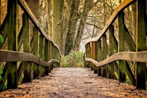 Best Outdoor Activities | Red McCombs Superior Hyundai in San Antonio TX