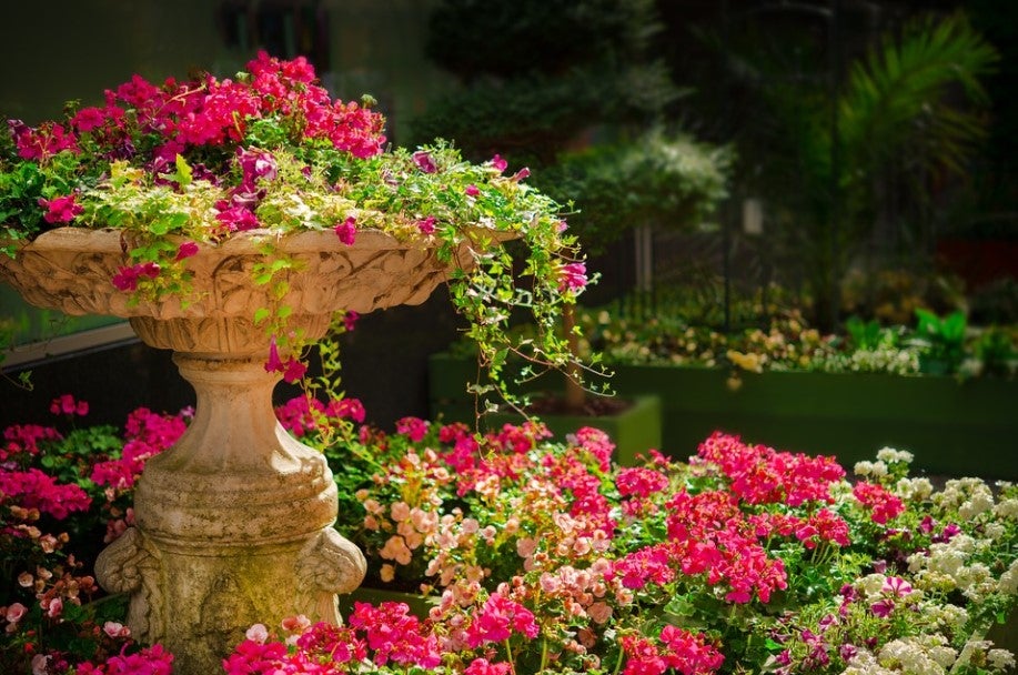 garden-Screenshot 2021-10-08 140539