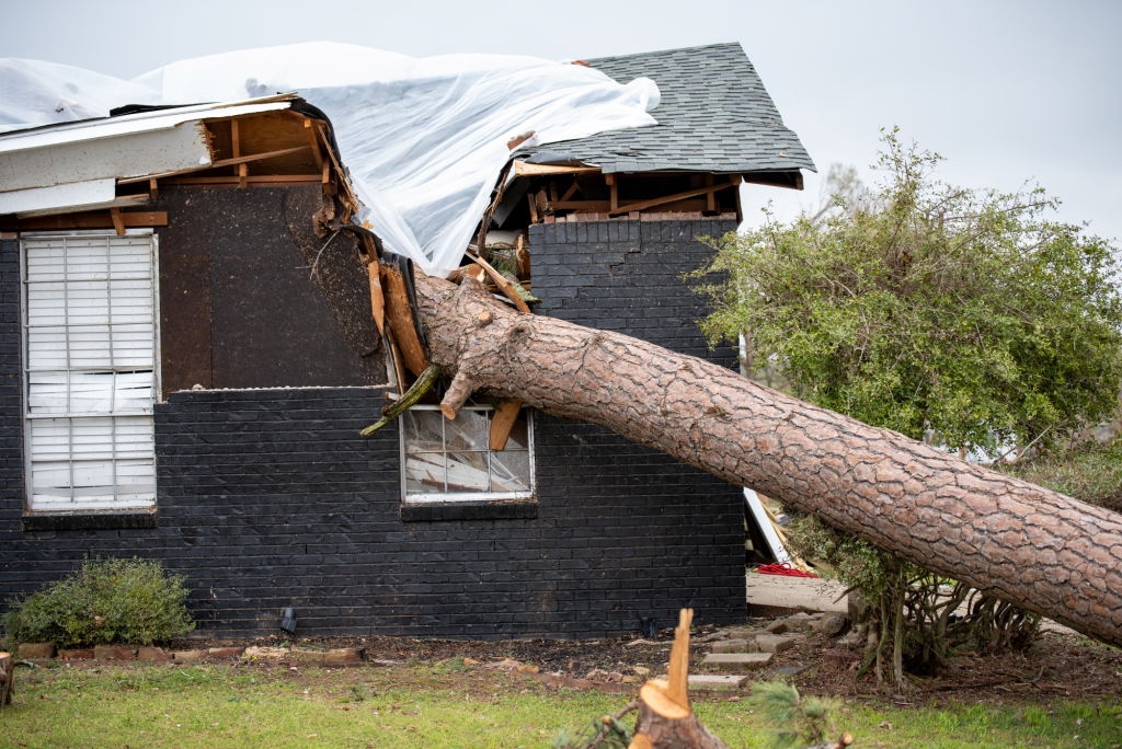 Arkansas Storms and Tornadoes