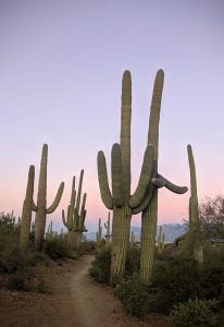 Hiking in Arizona 