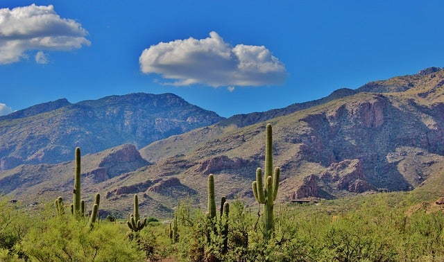 Tucson Arizona