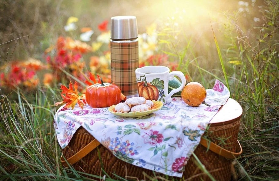 picnic-Screenshot 2021-09-24 115503