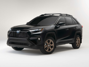 2024 Toyota RAV4 Hybrid in Rockville, MD