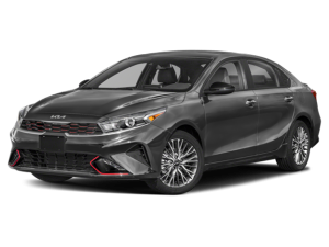 Gray 2023 Kia Forte Frederick, MD