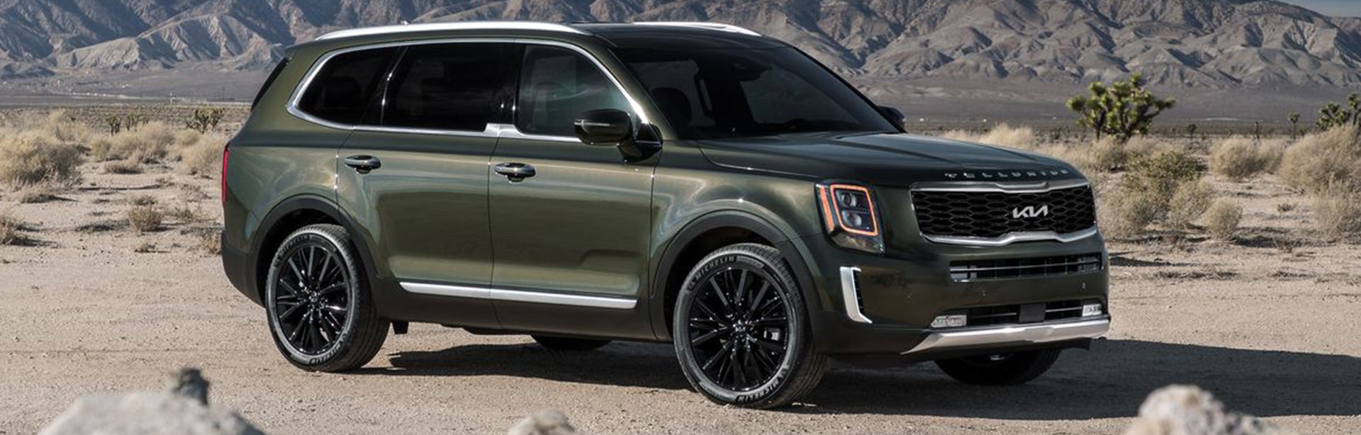 2022-telluride