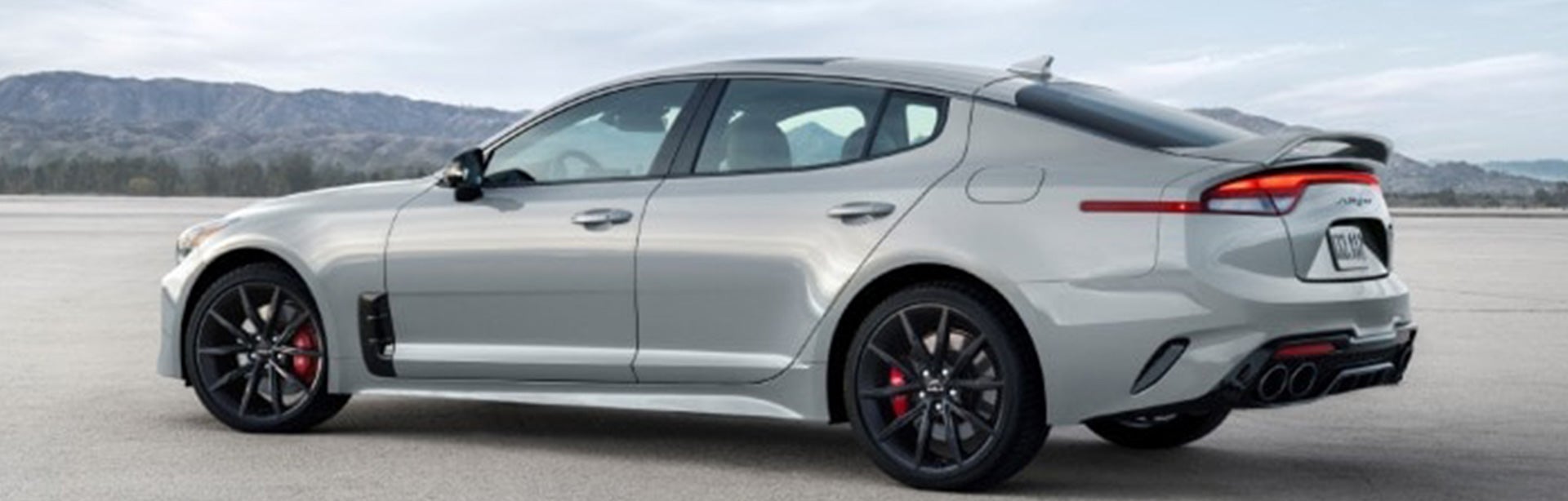 2022-stinger