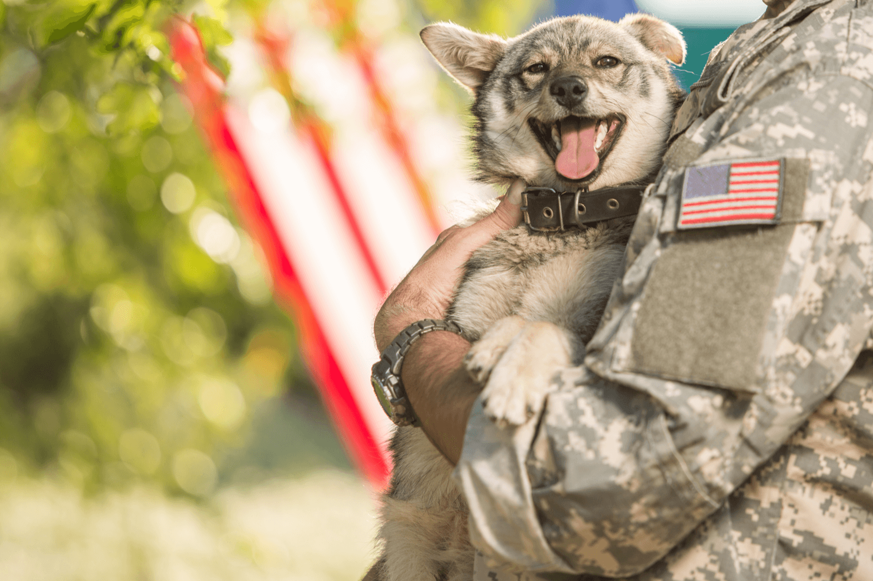 Pets for Patriots program Humane Pennsylvania