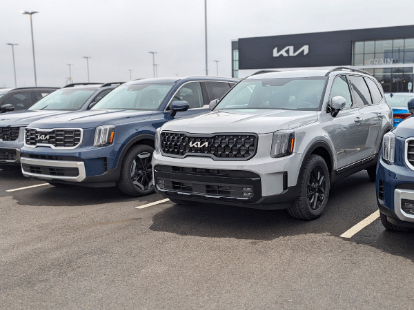 Grey and Blue Kia Tellurides