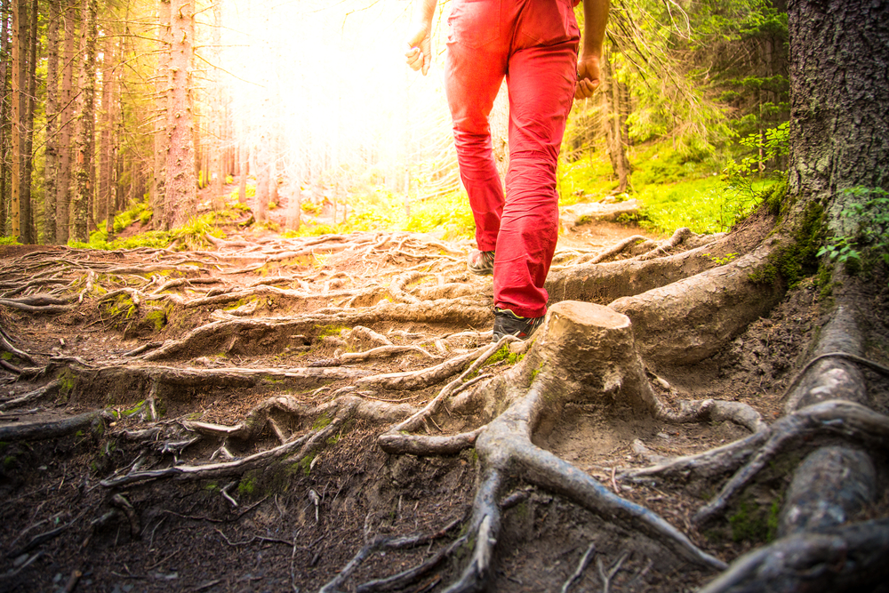 blog2-5_Best_Hiking_Trails_and_Paths_Near_Fort_Smith_637565913925567970
