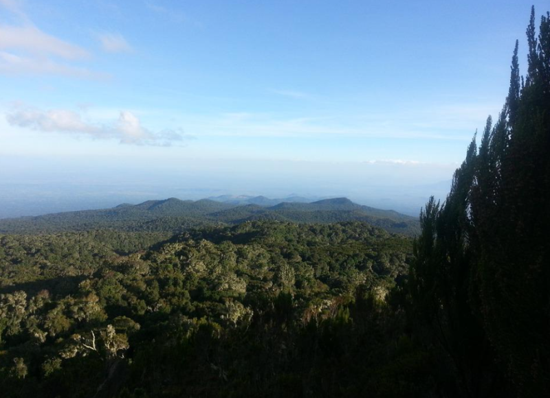 scenery