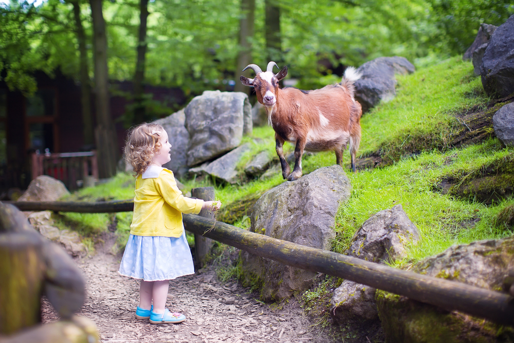 blog1-7_Kid-Friendly_Activities_for_Families_in_Little_Rock_637647023726929399