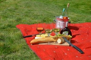 picnic in fort smith ar