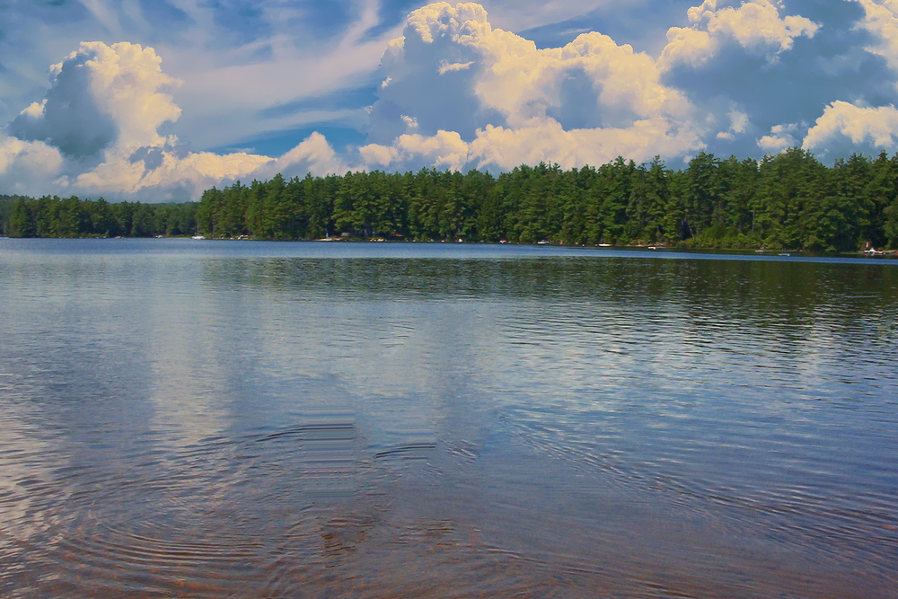 blog3-6_Fun_Activities_to_Enjoy_at_Lake_Conway_637520077466950535