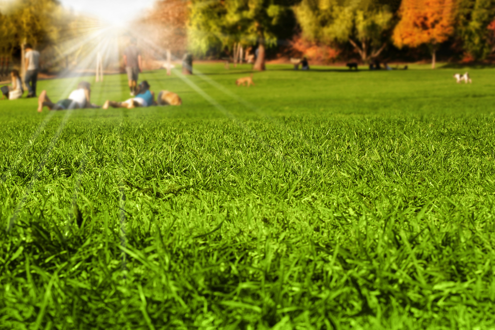 blog1-6_Fantastic_Parks_in_and_Around_Conway_637578014121582476