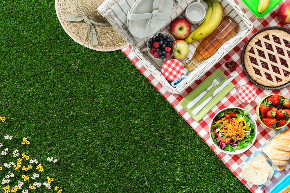 blog4-5_Favorite_Picnic_Spots_in_and_Around_Conway_637653009976191642