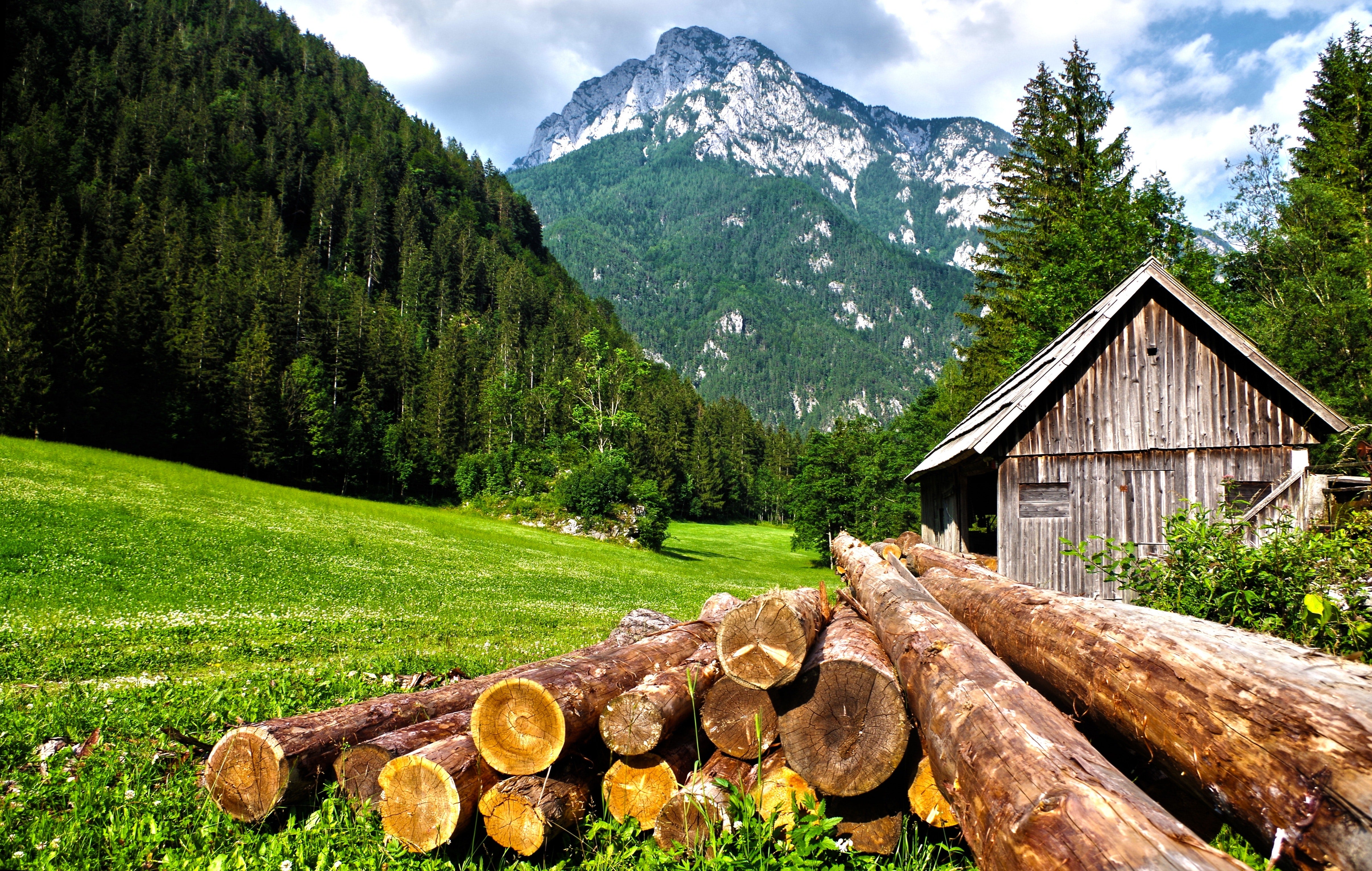 Photo by Pixabay