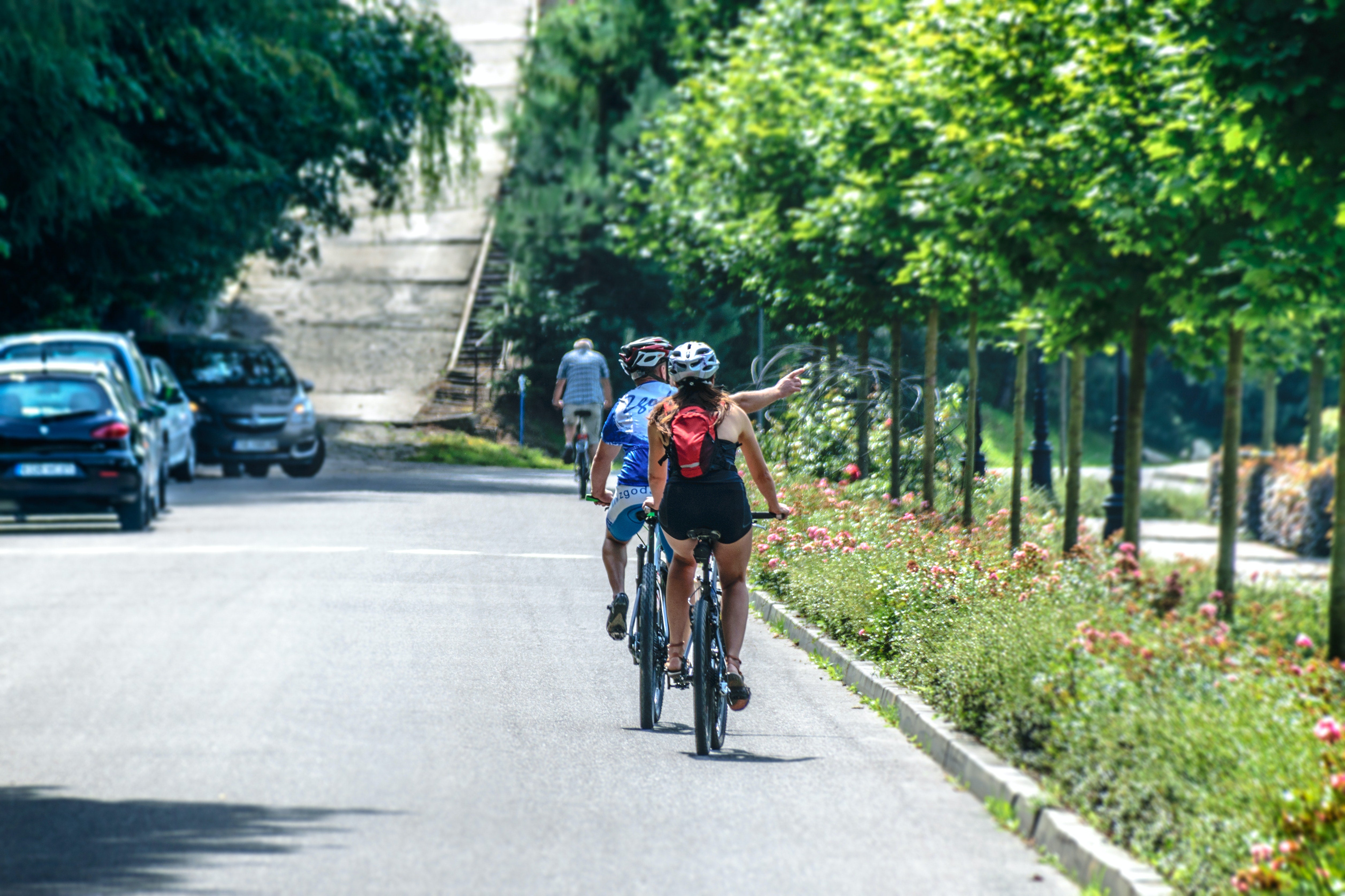 photo of bikers on trail