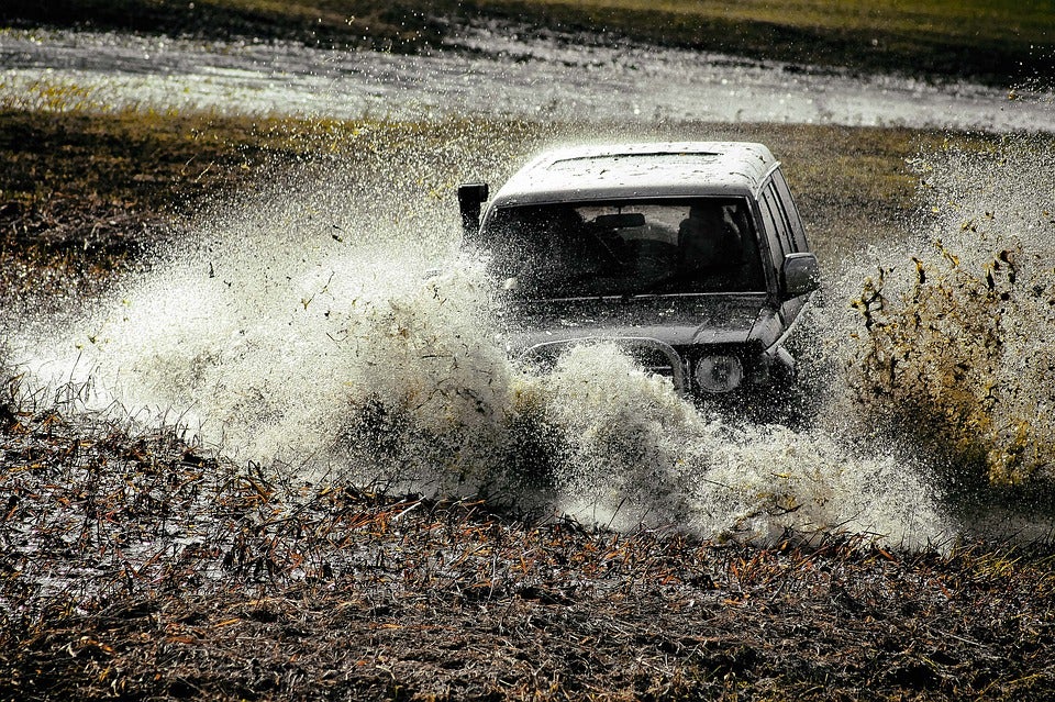 bog2