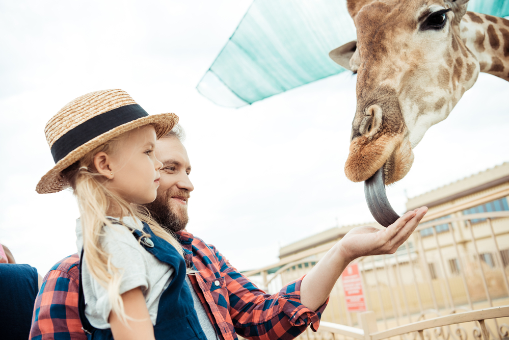 _Great_Kid-Friendly_Activities_for_Families_in_Little_Rock_637611613923749728
