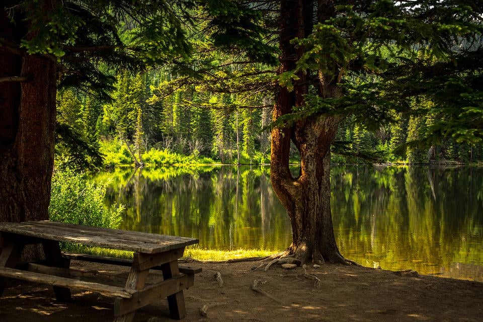 A park bench by a lake with trees surrounding it. | Things to do around Conway, AR.