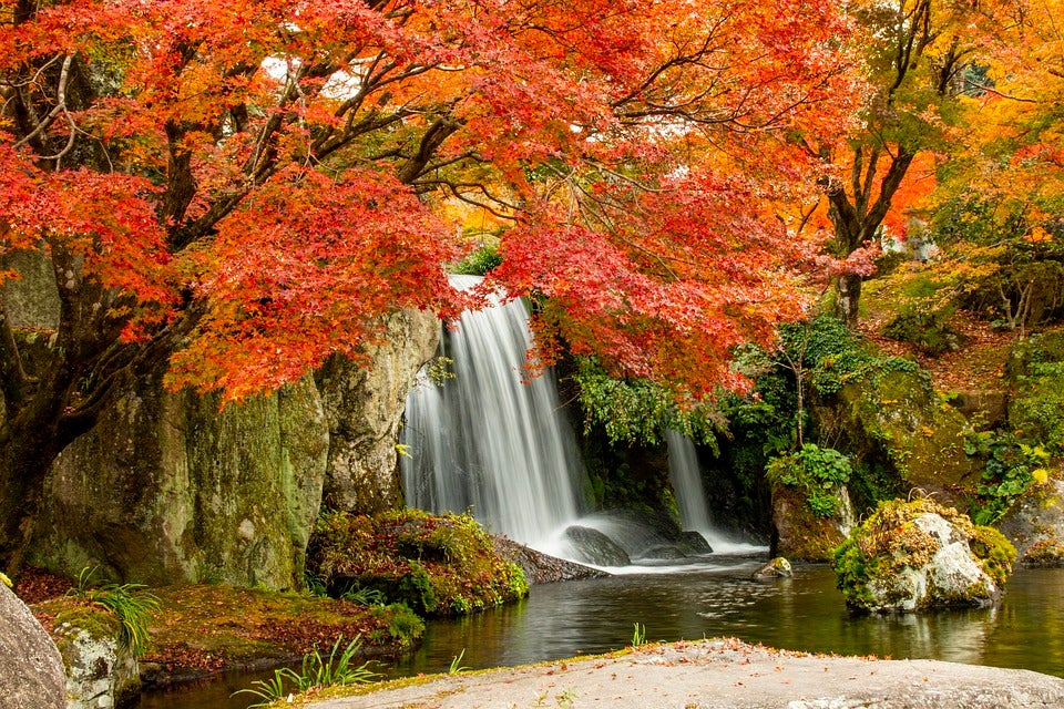 A waterfall flowing down into a river surrounded by greenery. | Crain Kia of Bentonville, AR