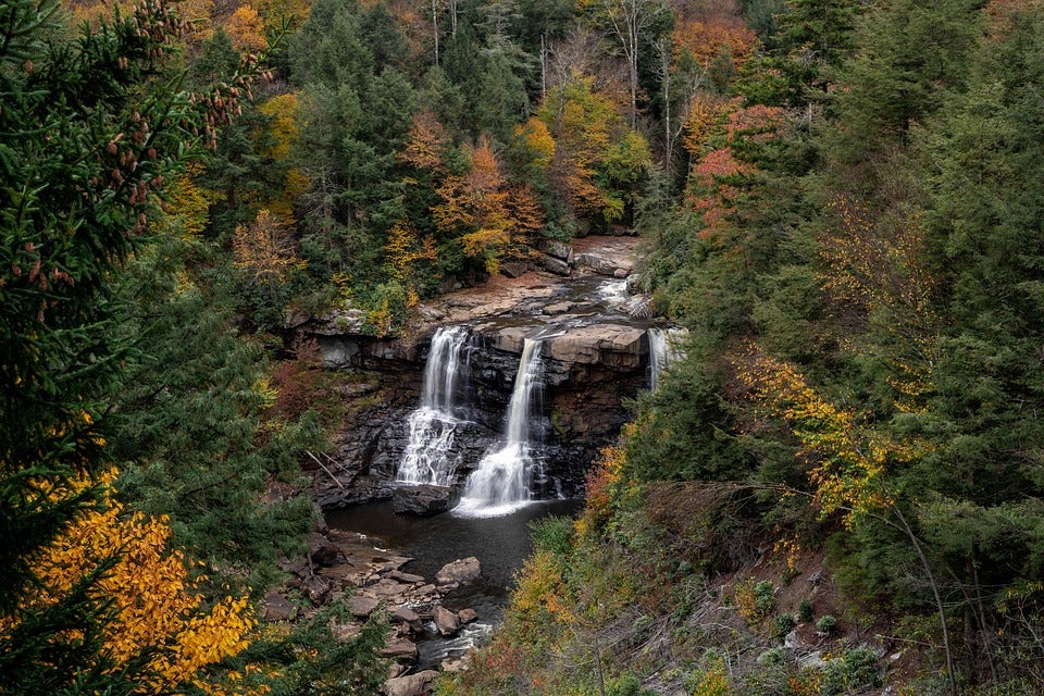Waterfall in the middle of a forest. | Parks near Bentonville, AR.