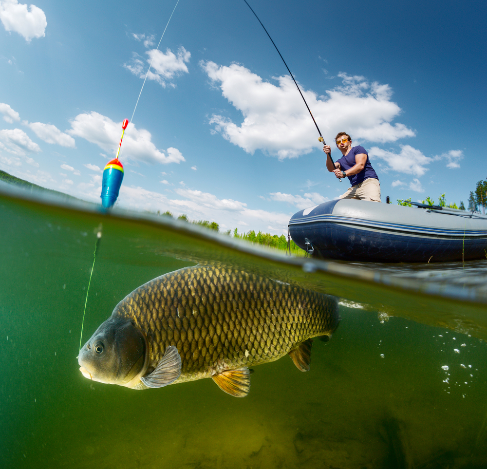 Where_to_Find_the_Best_Fishing_Spots_Near_Bentonville_637508929605263433