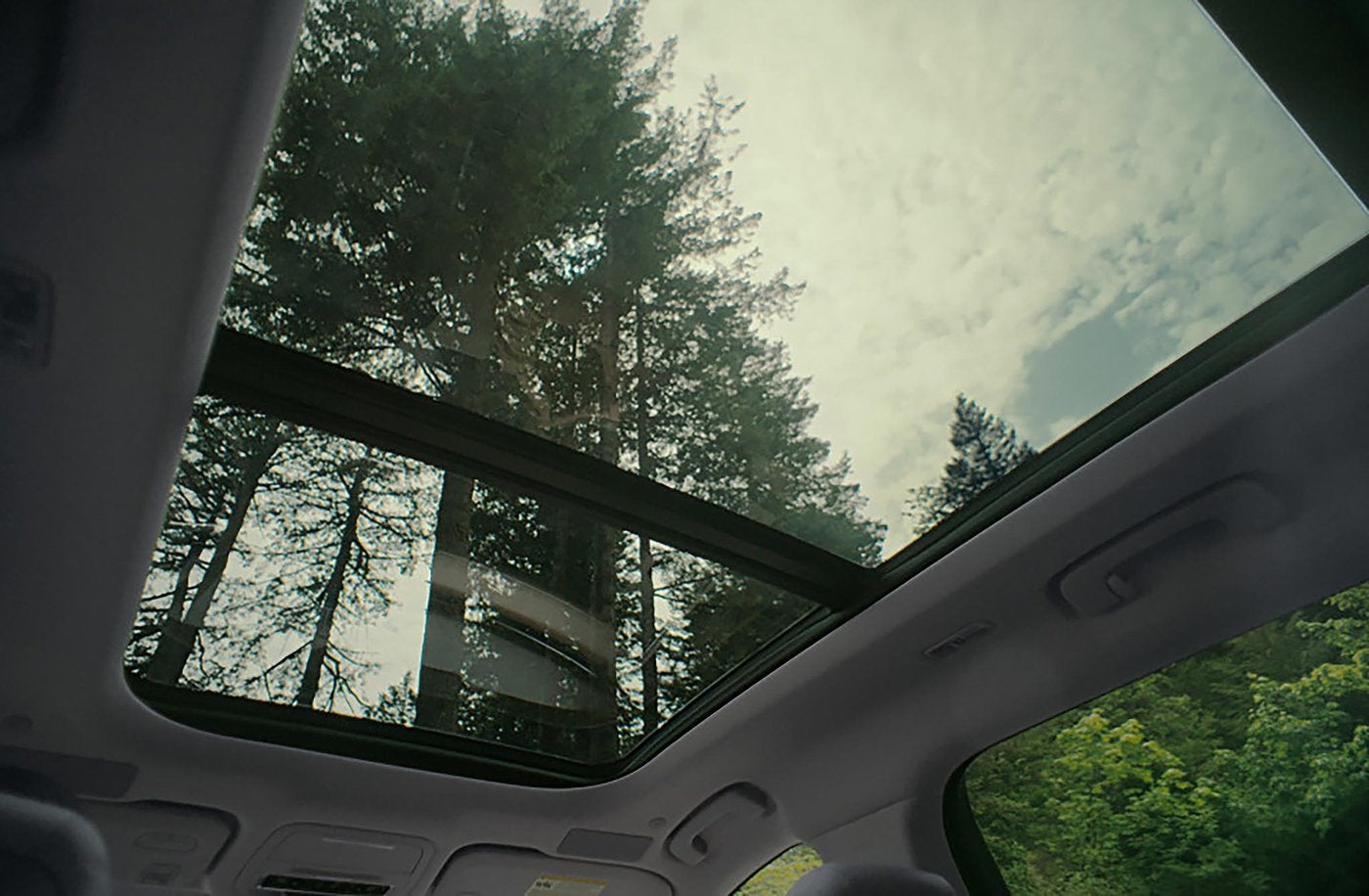 Trees and sky seen through the open panoramic roof of a Lincoln Nautilus