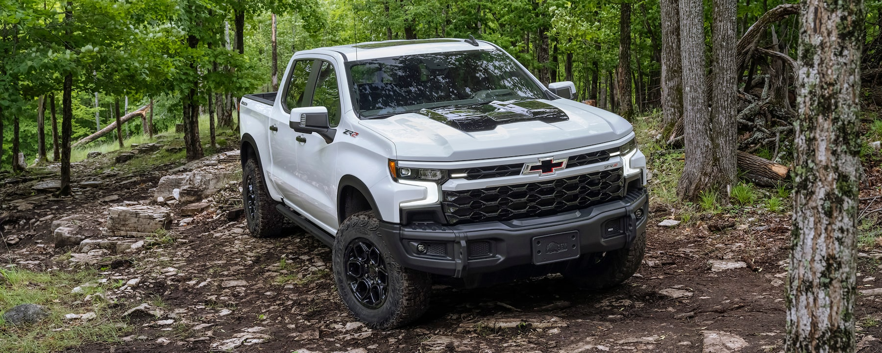 2023-silverado-bison
