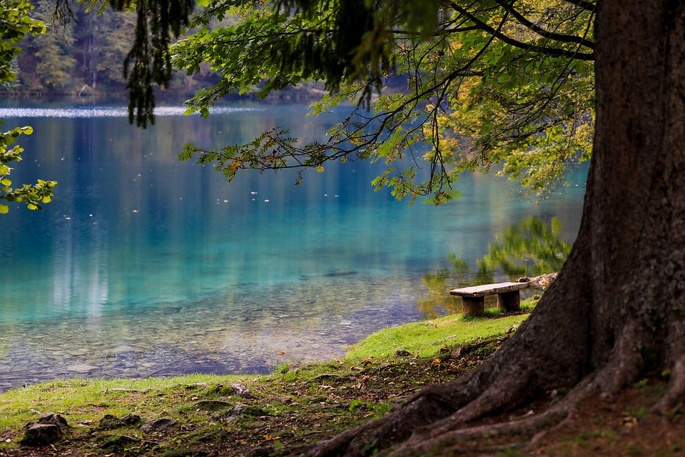 5 Favorite Local Parks in and Around Big Lake, TX