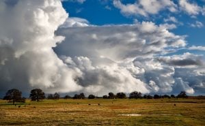 5 Best Outdoor Activities in and Around Big Lake, TX 