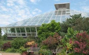 6 Top Things to Visit in Madison, WI 