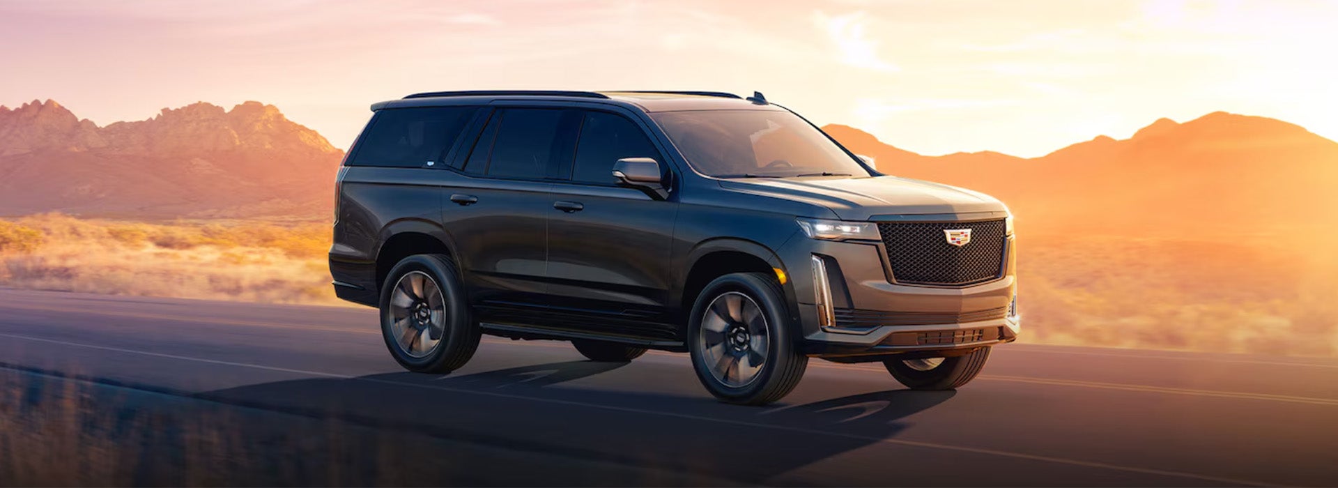 Vehicles for Large Families
