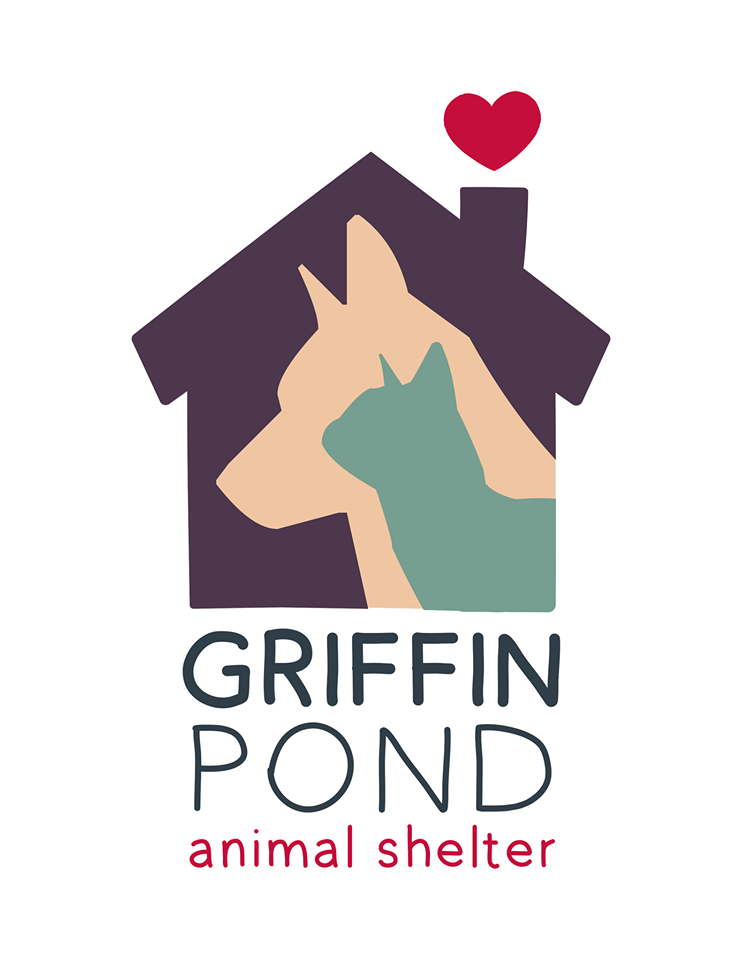 griffin pond animal shelter adoptable dogs