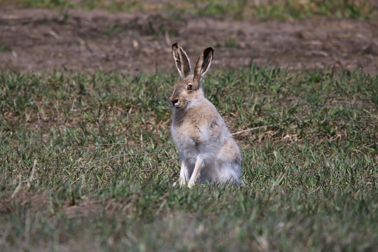 Drive on Down: 4 Favorite Parks Near Dickinson, ND