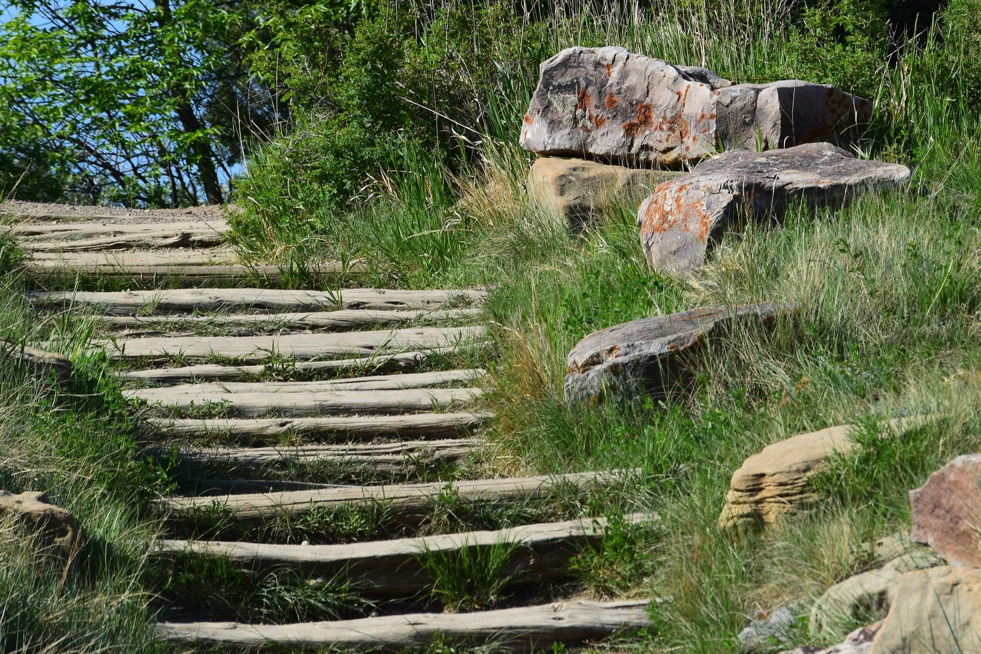 3 Kid-Friendly Activities You Can Drive to From Dickinson, ND