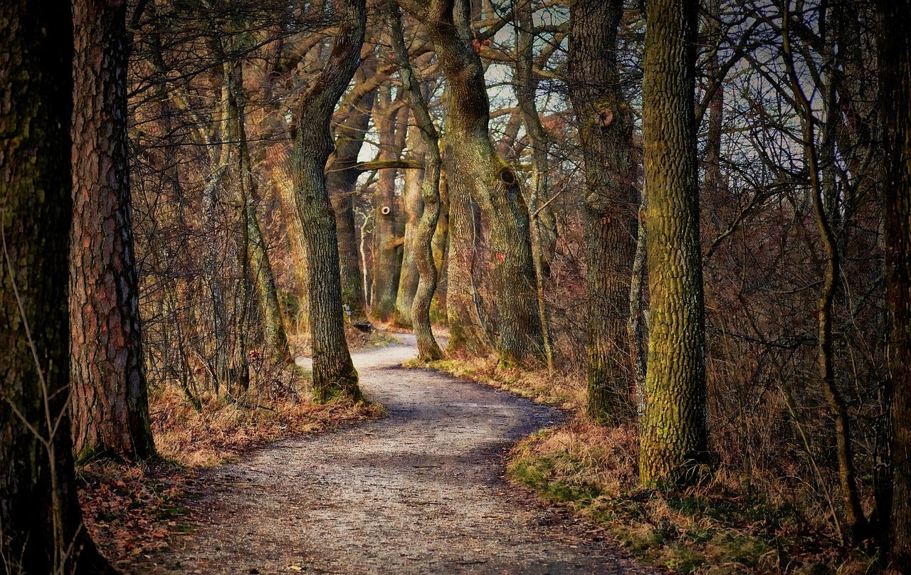 Make the Drive: 4 Great Hiking Trails Near Dickinson, ND