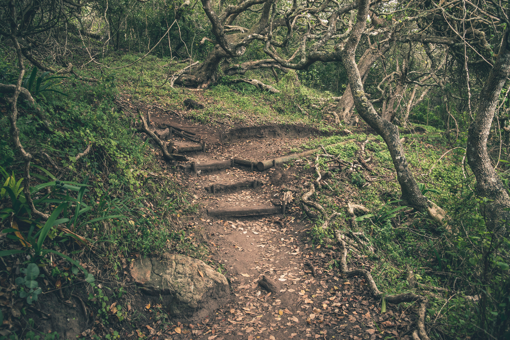6_of_the_Best_Hiking_Trails_in_and_Around_Nitro_637586501763058602