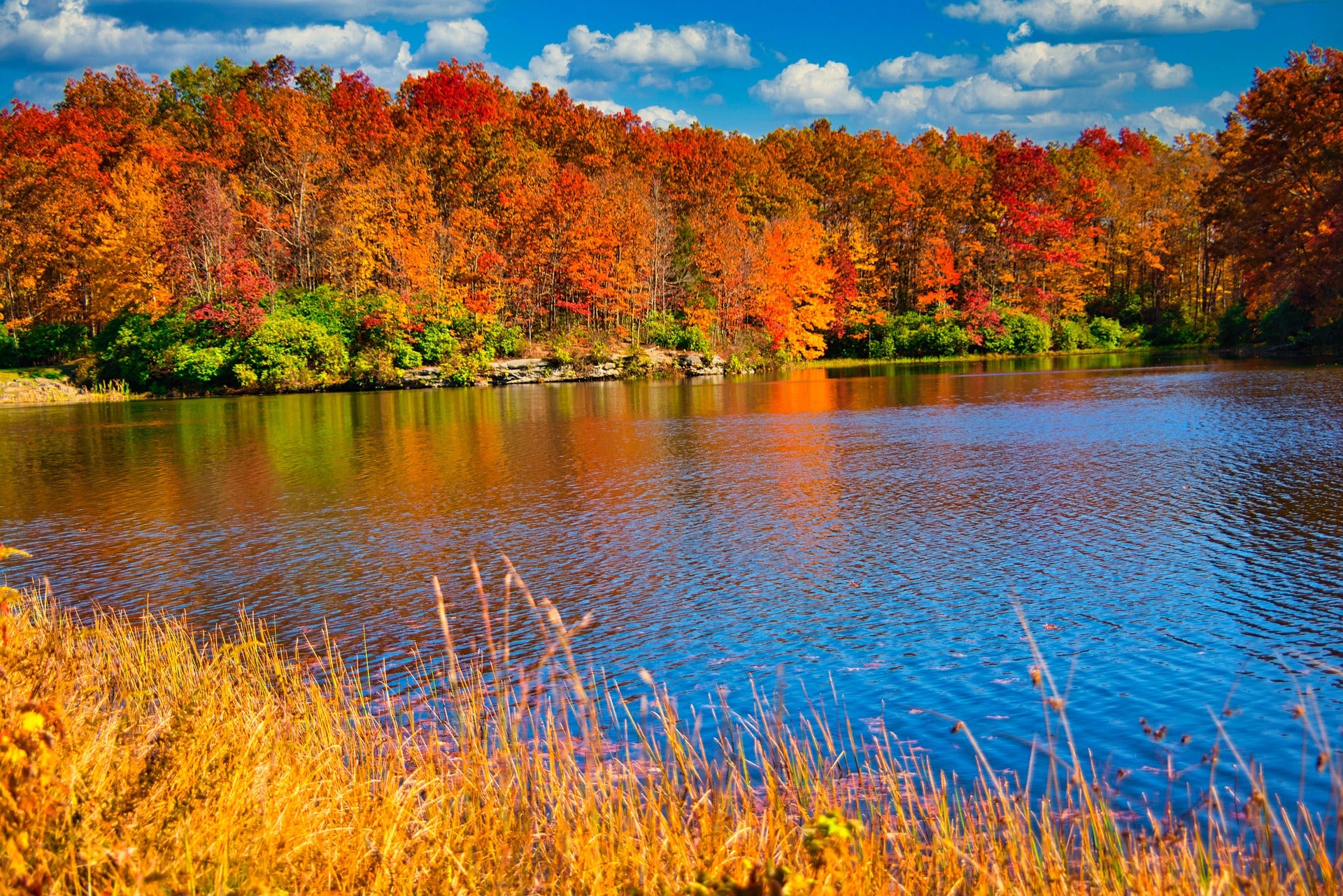 4 Fall Activities You Can Drive to From Nitro, WV