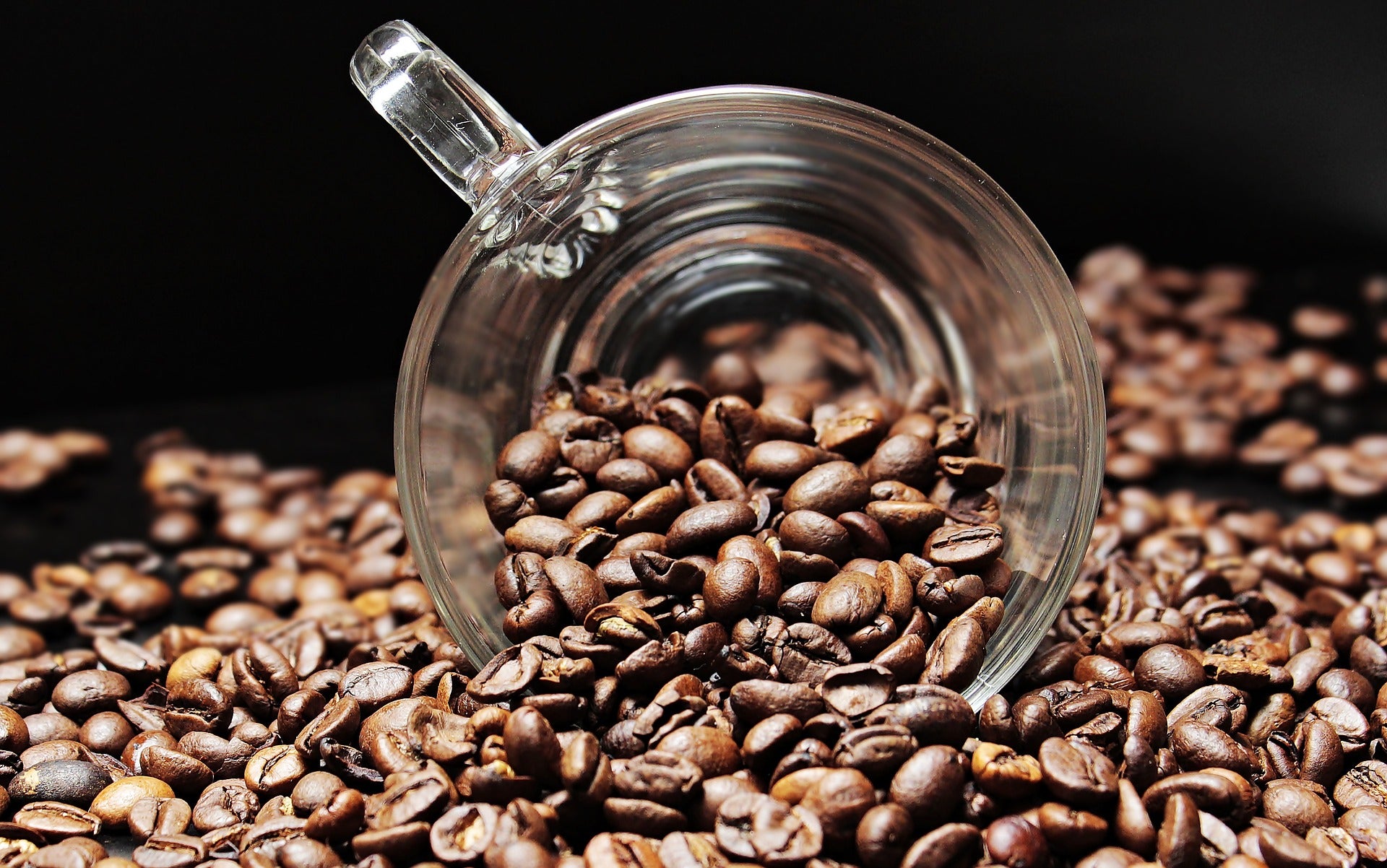 A lot of coffee beans next to a cup