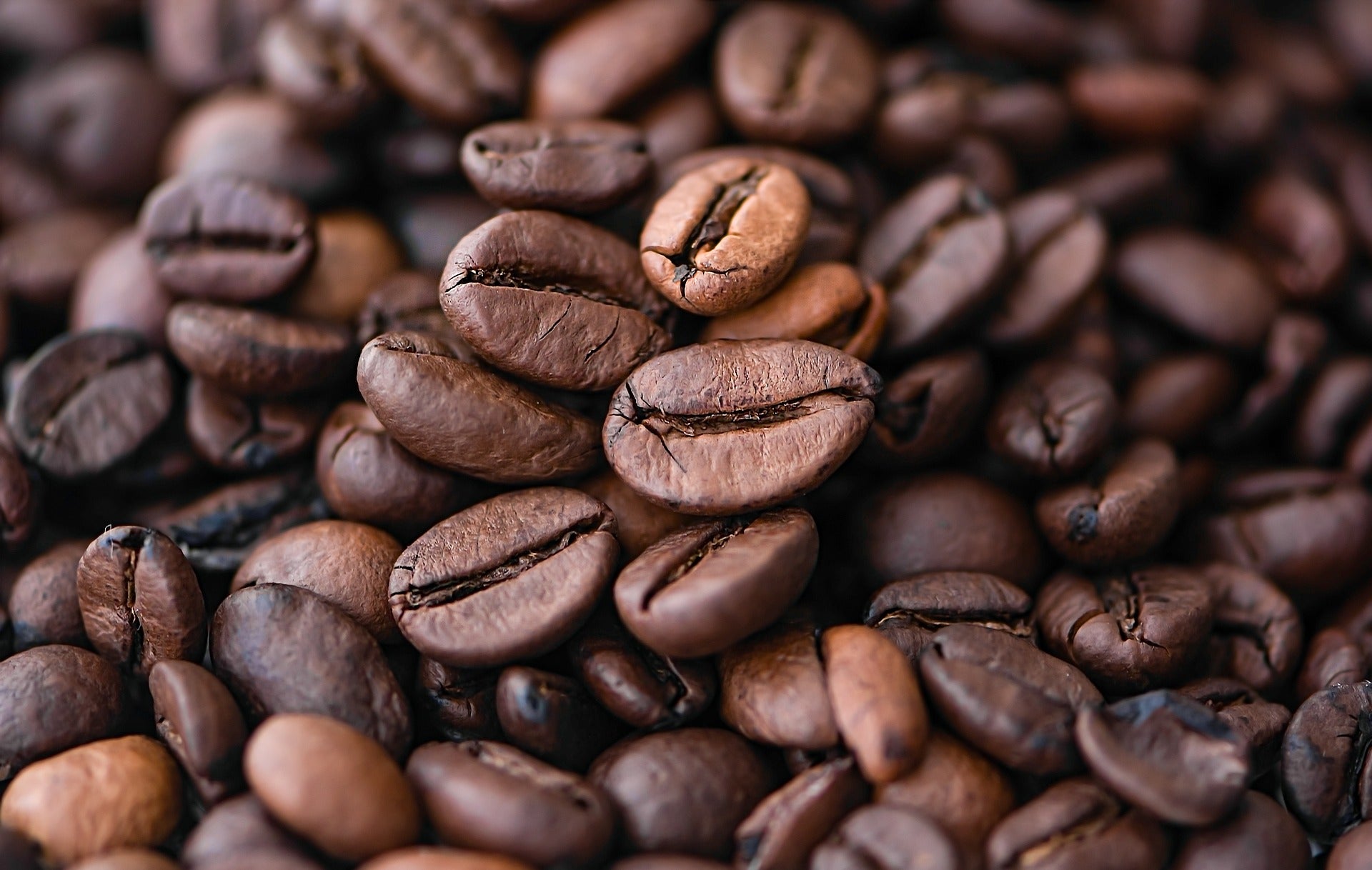 A pile of coffee beans
