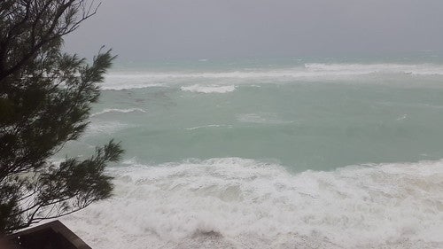 hurricane-preparedness
